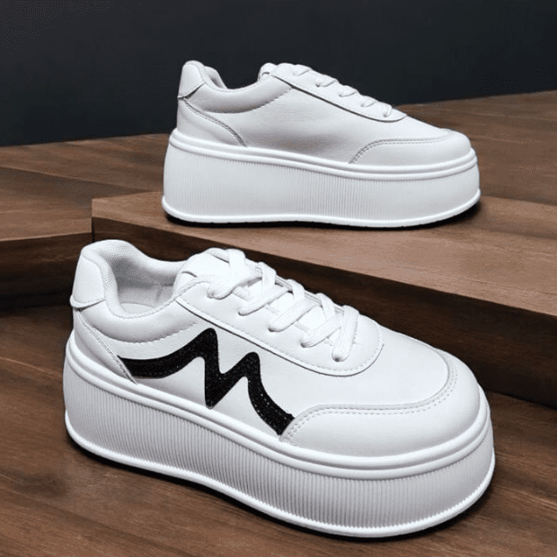 ZAPATOS DE VIAJE 
