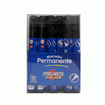 PLUMON PERMANENTE PUNTA BISELADA NEGRO 