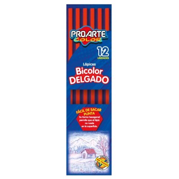 LAPICES BICOLOR DELGADO PROARTE
