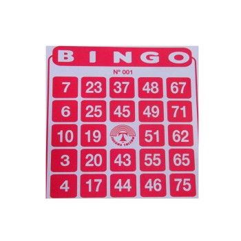 SET 100 CARTONES DE BINGO TOLEDO (SOLO CARTONES)